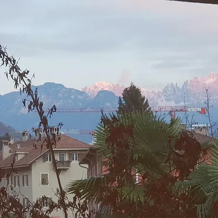 Domus Rose Pensión *