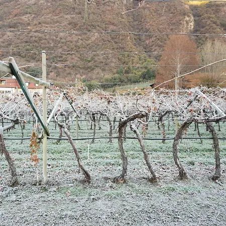 게스트하우스 Domus Rose 볼차노