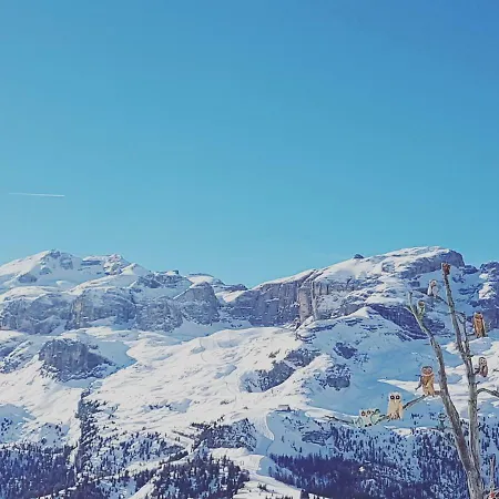 Pensión Domus Rose Bozen