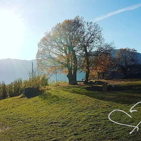 Pensión Domus Rose *