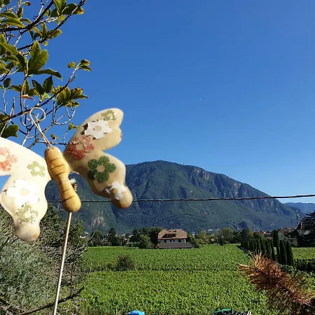 Domus Rose Guest house *