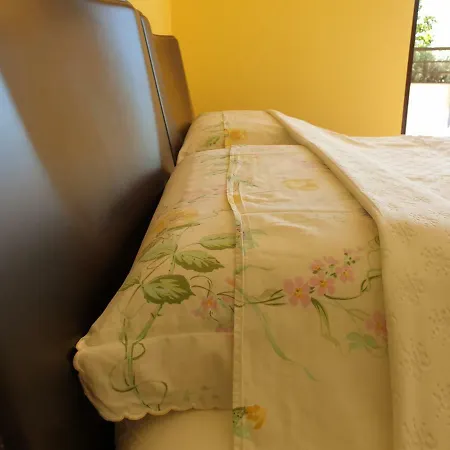 Domus Rose Guest house *