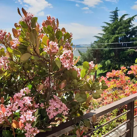 Casa de hóspedes Domus Rose