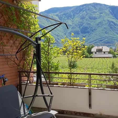 Domus Rose Guest house *