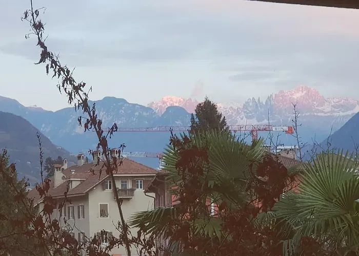 Domus Rose Πανσιόν *