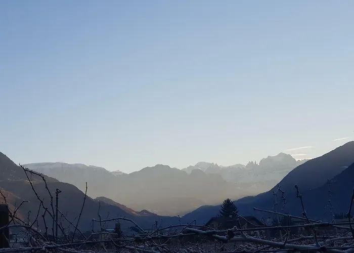 Domus Rose 招待所 博尔扎诺