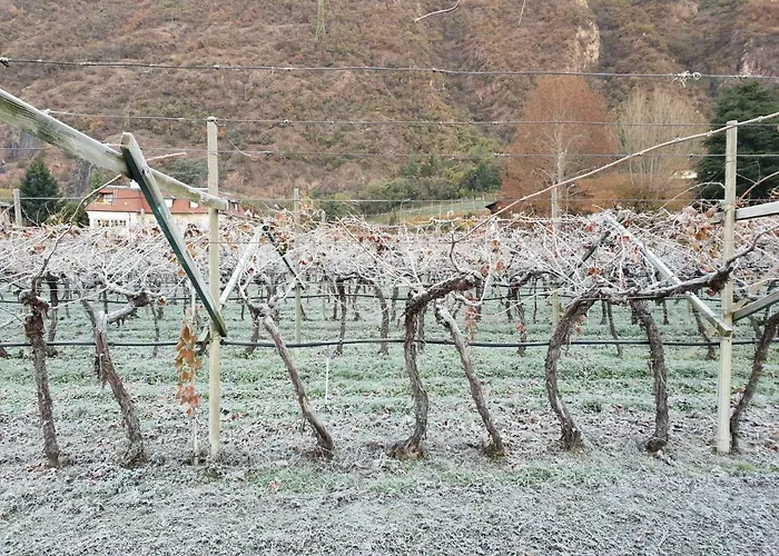 Maison d'hôtes Domus Rose Bozen