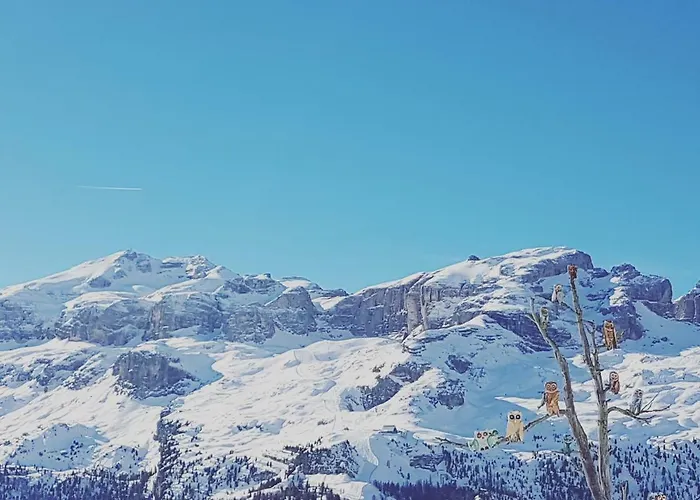 Maison d'hôtes Domus Rose Bozen