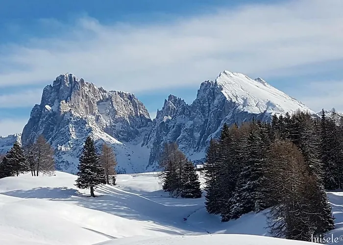 Domus Rose Μπολζάνο