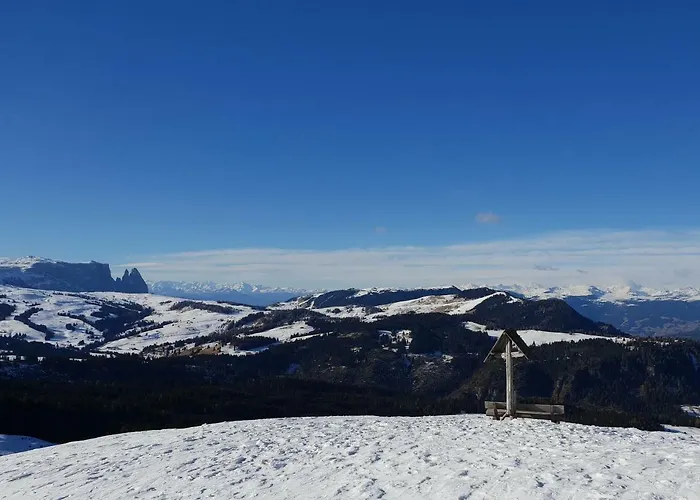 Domus Rose Πανσιόν *