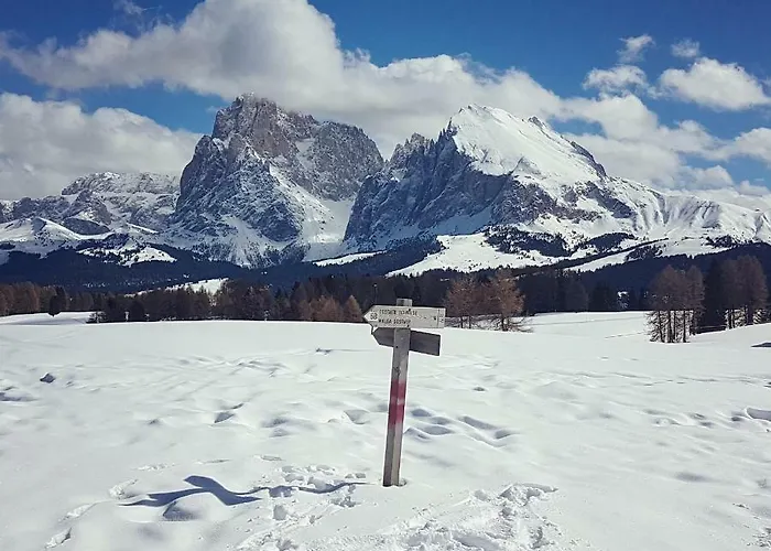 Domus Rose Πανσιόν