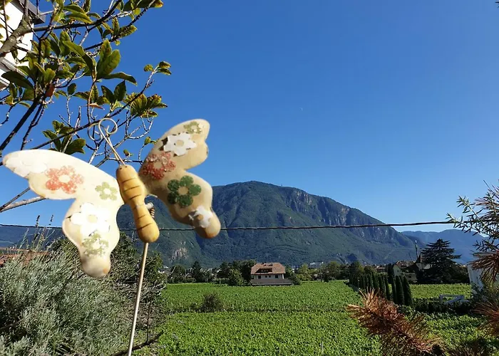 Domus Rose 招待所 *