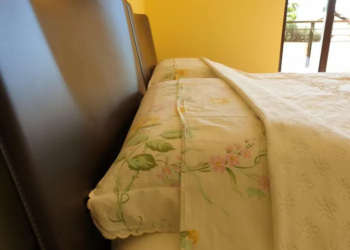 Domus Rose 招待所 *