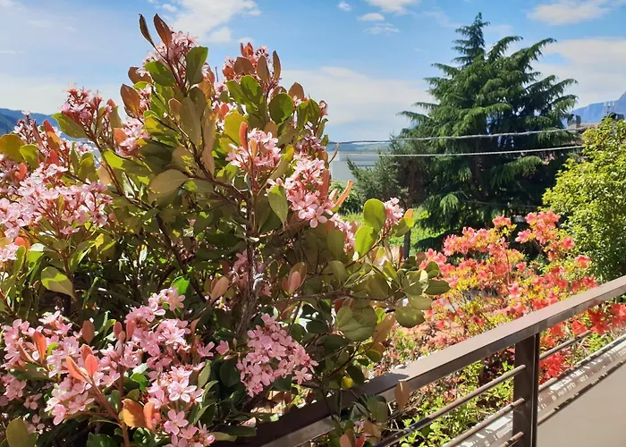 Maison d'hôtes Domus Rose
